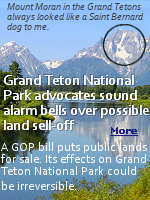 Senate Republicans recently proposed the sale of up to 3.29 million acres of public land across 11 Western states. While Grand Teton National Park and other national parks themselves aren�t on the chopping block, large swaths of national forest and Bureau of Land Management lands could potentially be sold and developed.